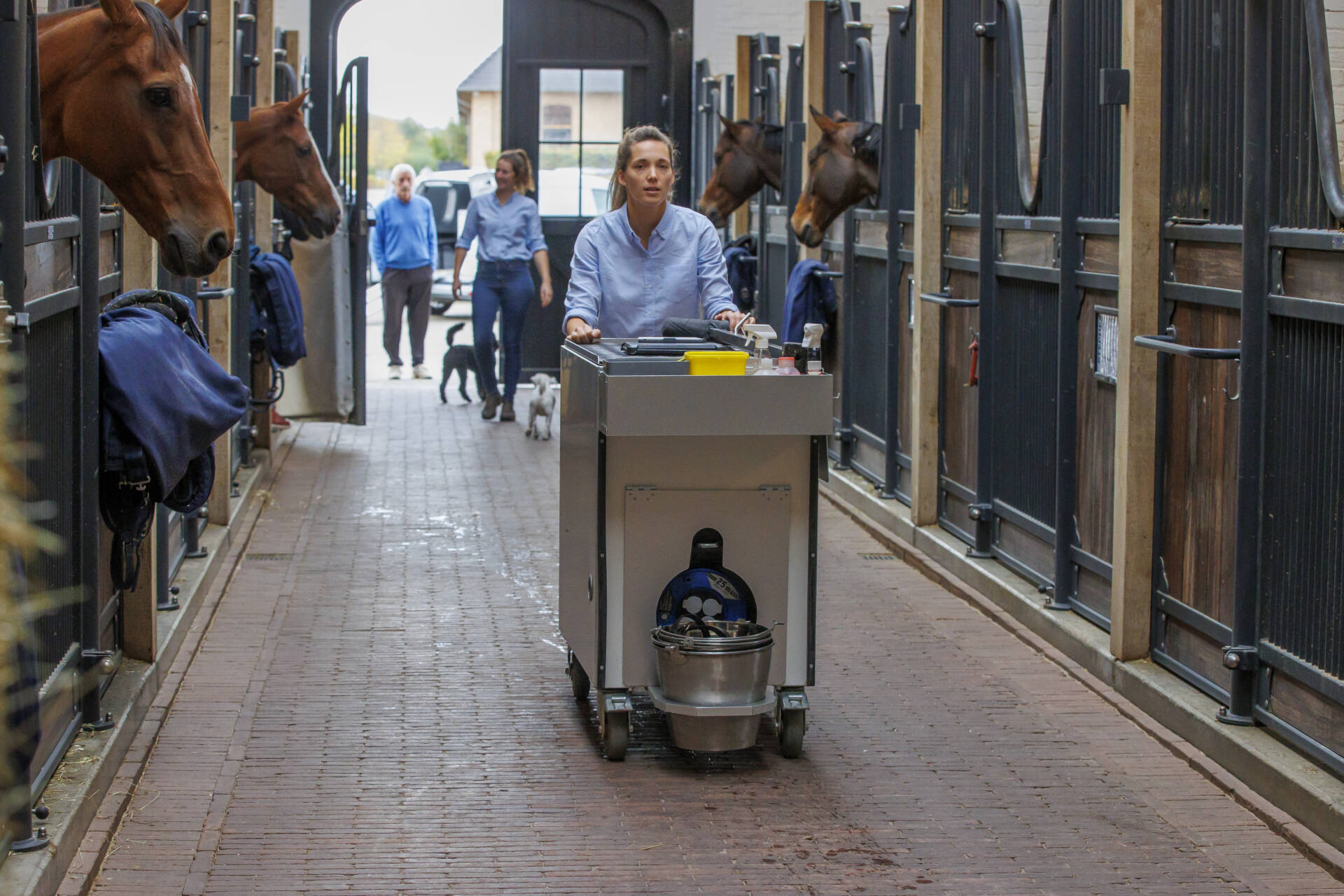 Hoe gaat een bezoek aan de paardentandarts in zijn werk?